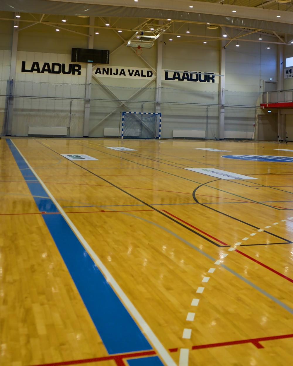 Saalisport